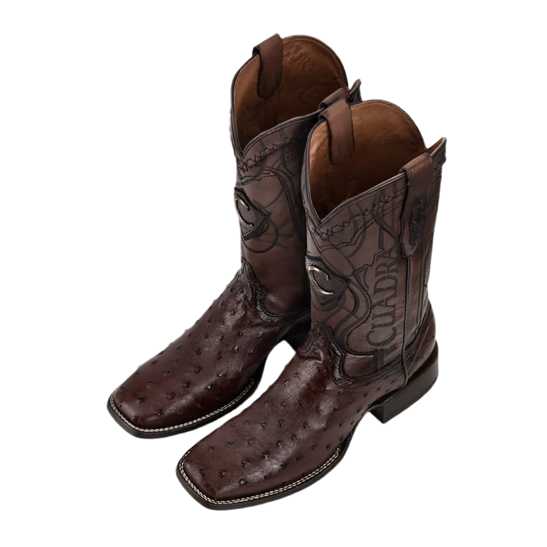 Cuadra Avestruz Moroni Castaño